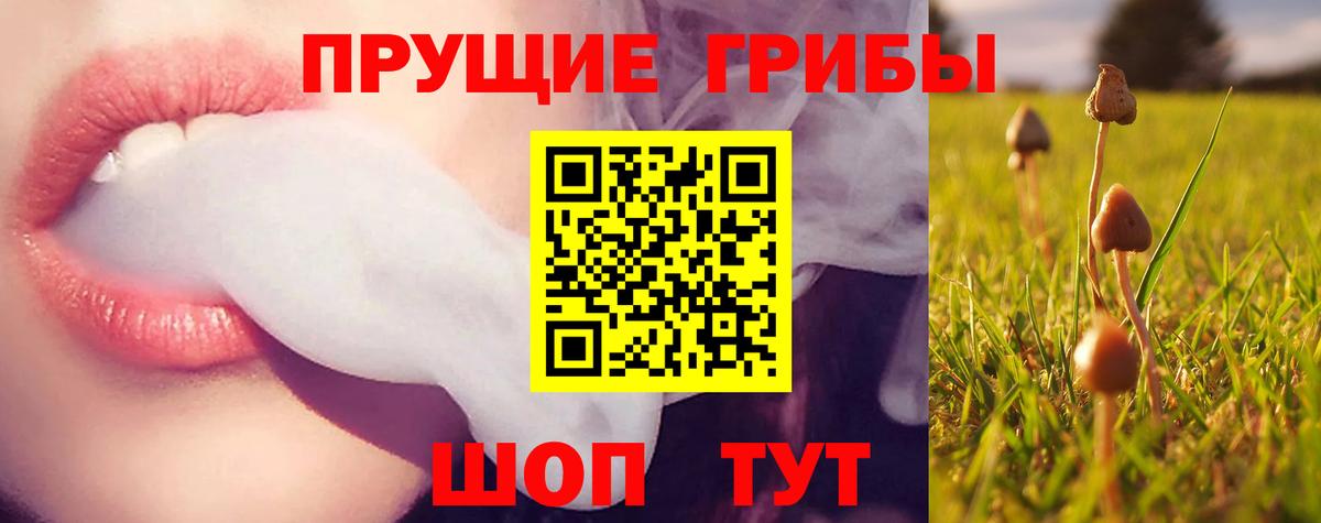 Маркс  Псилоцибиновые грибы MAGIC MUSHROOMS  Галлюциногенные грибы мухоморы  Вход с VPN 